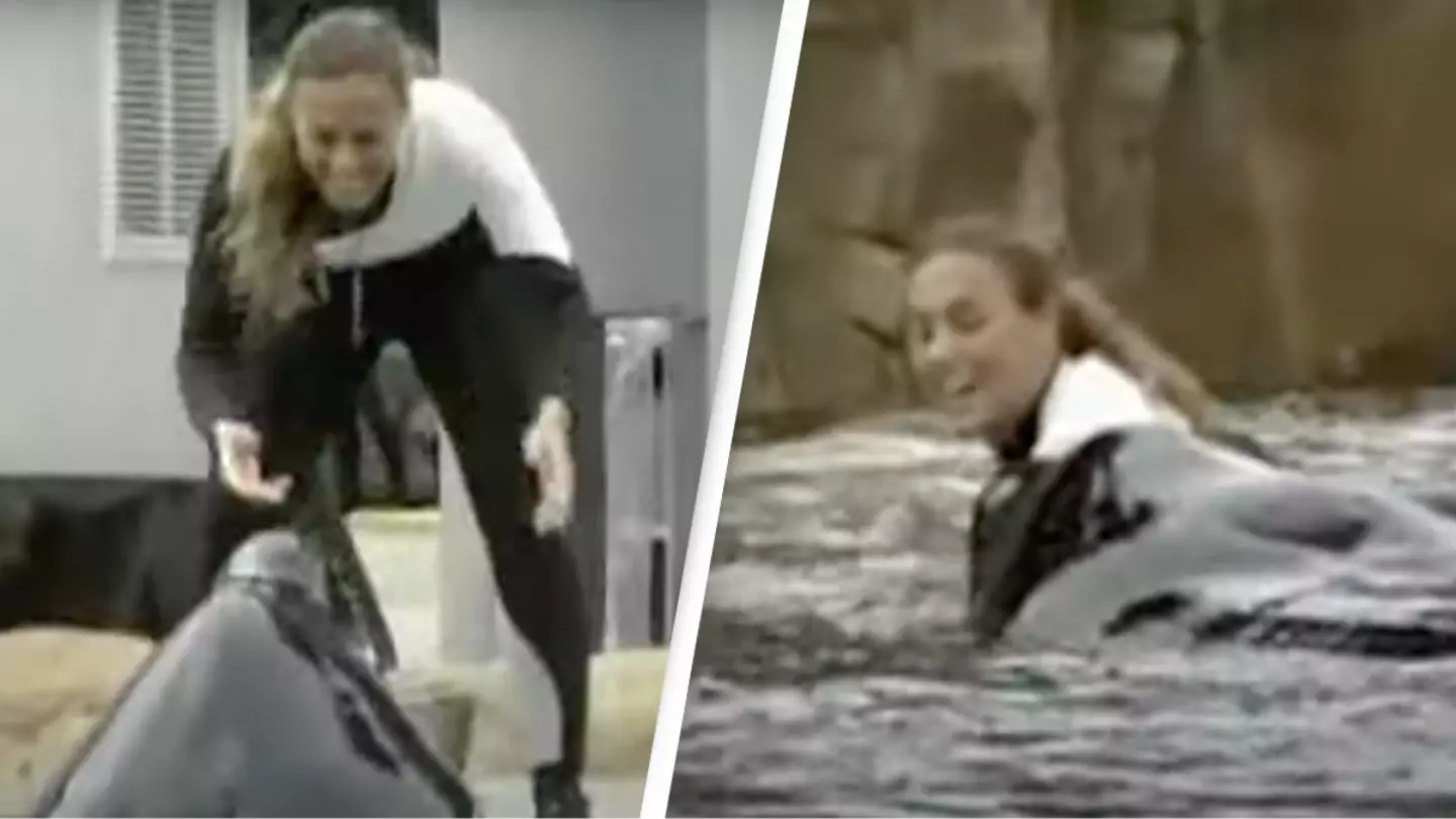 SeaWorld trainer's recorded final moments before being dragged into water by orca