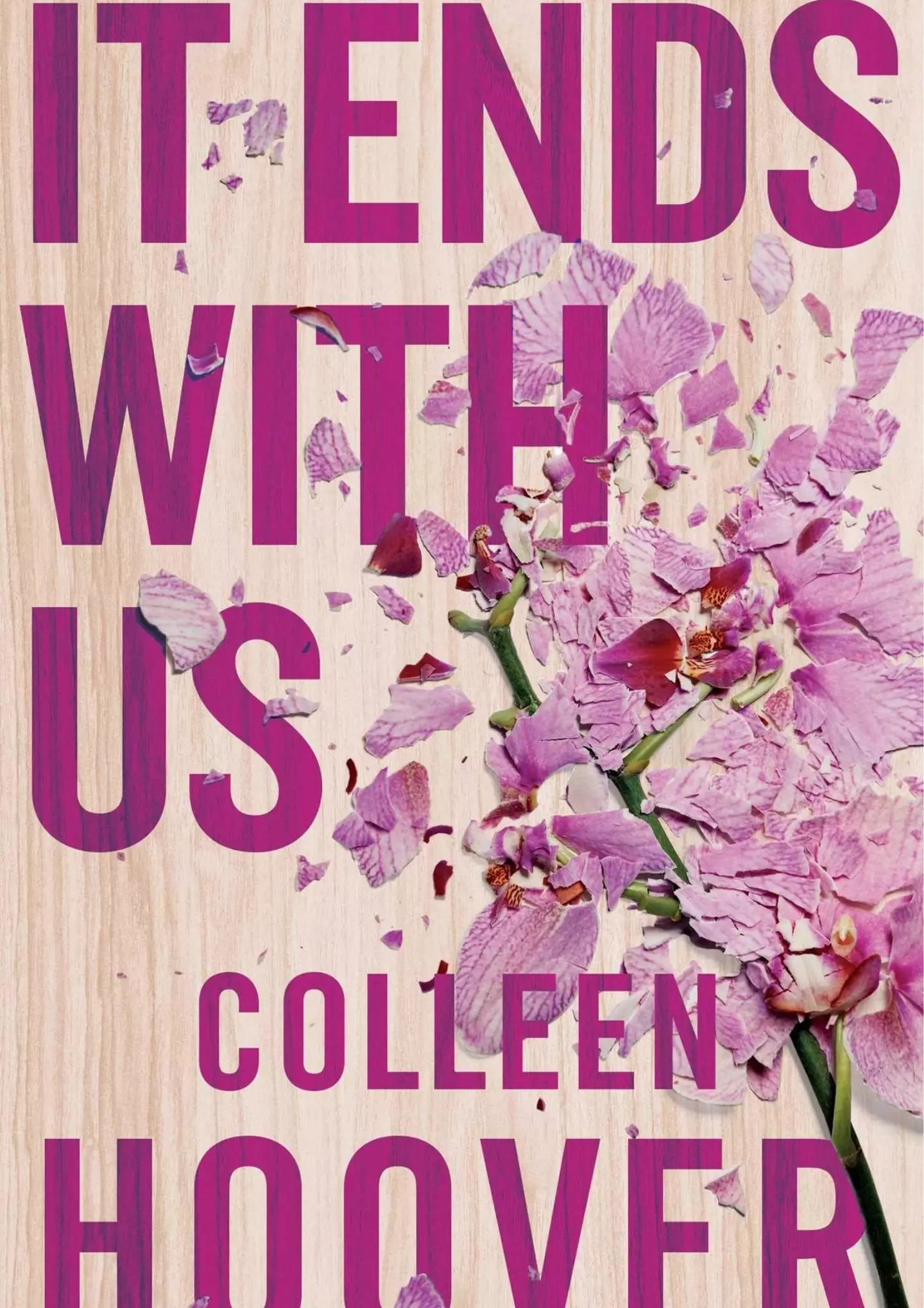 It Ends With Us was one of the most popular books of 2022, even though it was published in 2016.