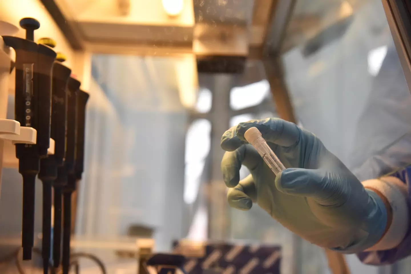 The DNA test revealed she had over 20 siblings.