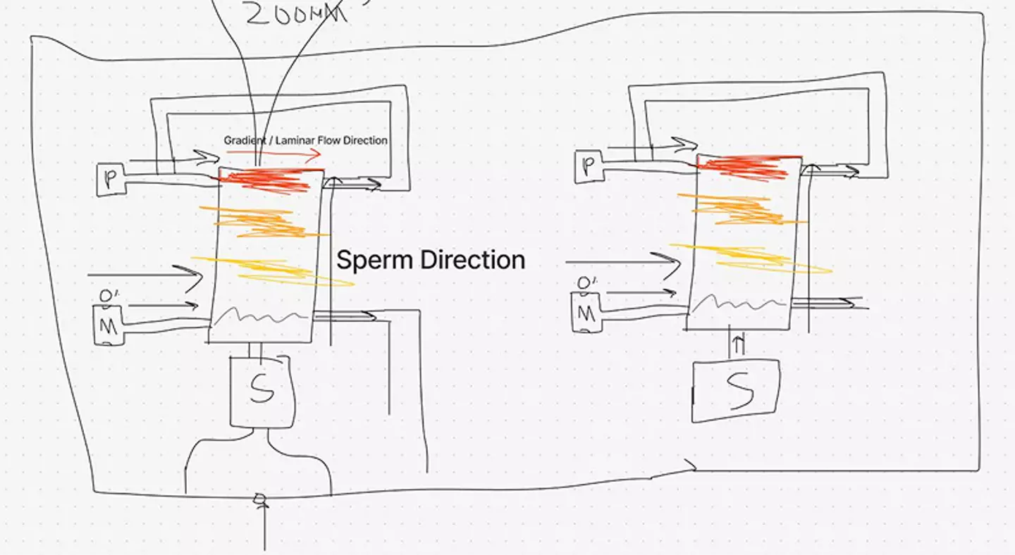 A diagram of the racetrack (Spermracing.com)
