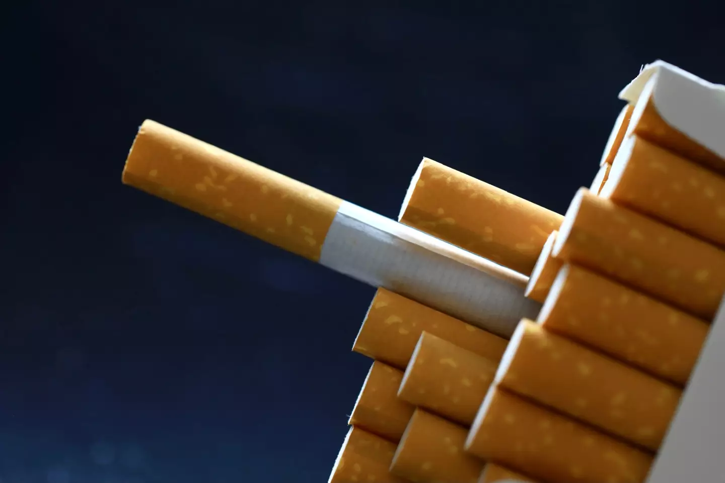 There's no need to panic anytime soon, because you'd have to eat over 10kg of eggplant to even get close to the nicotine level of one cigarette. (Getty Stock Images/Douglas Sacha)