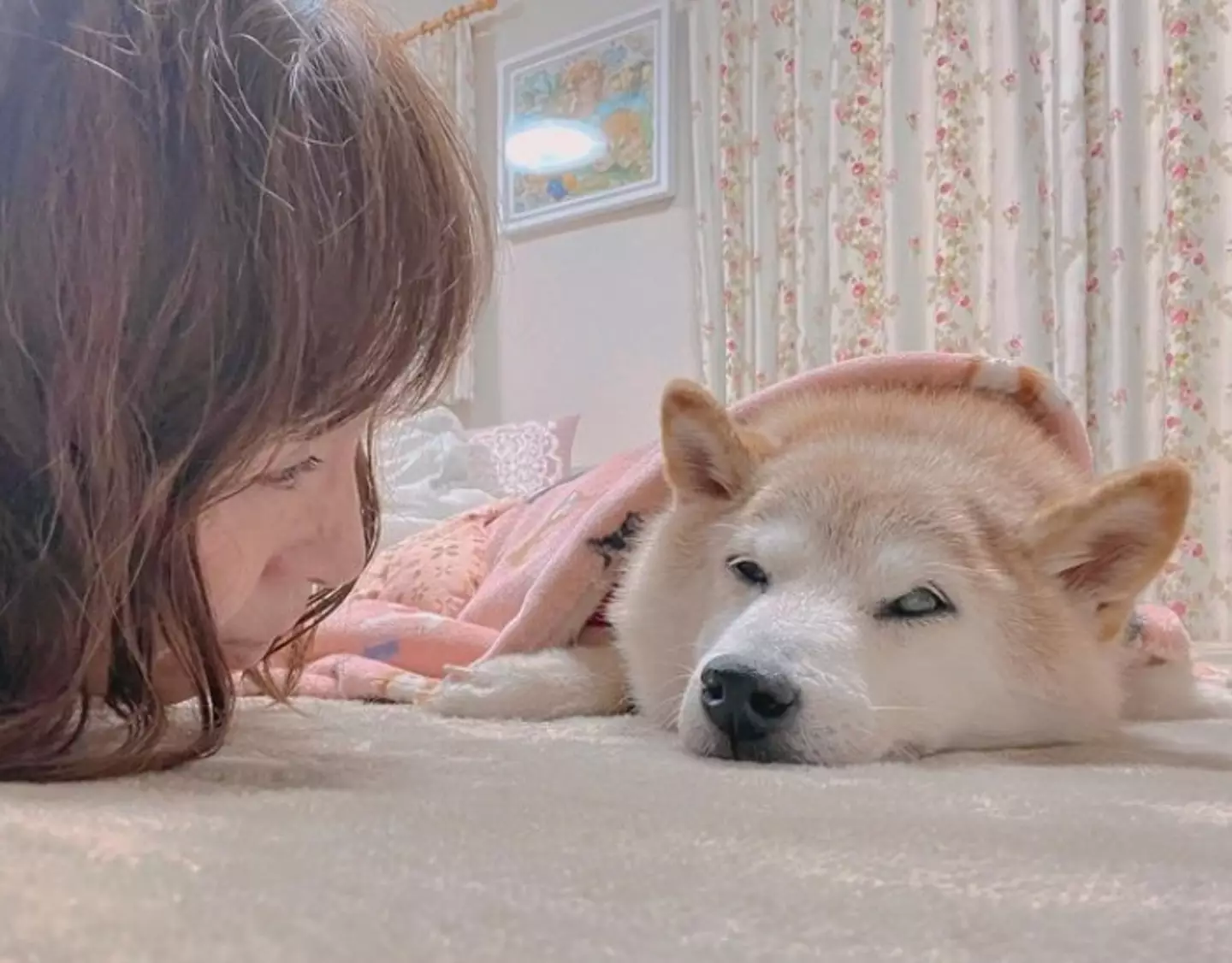 The dog who inspired the Doge memes is very sick.