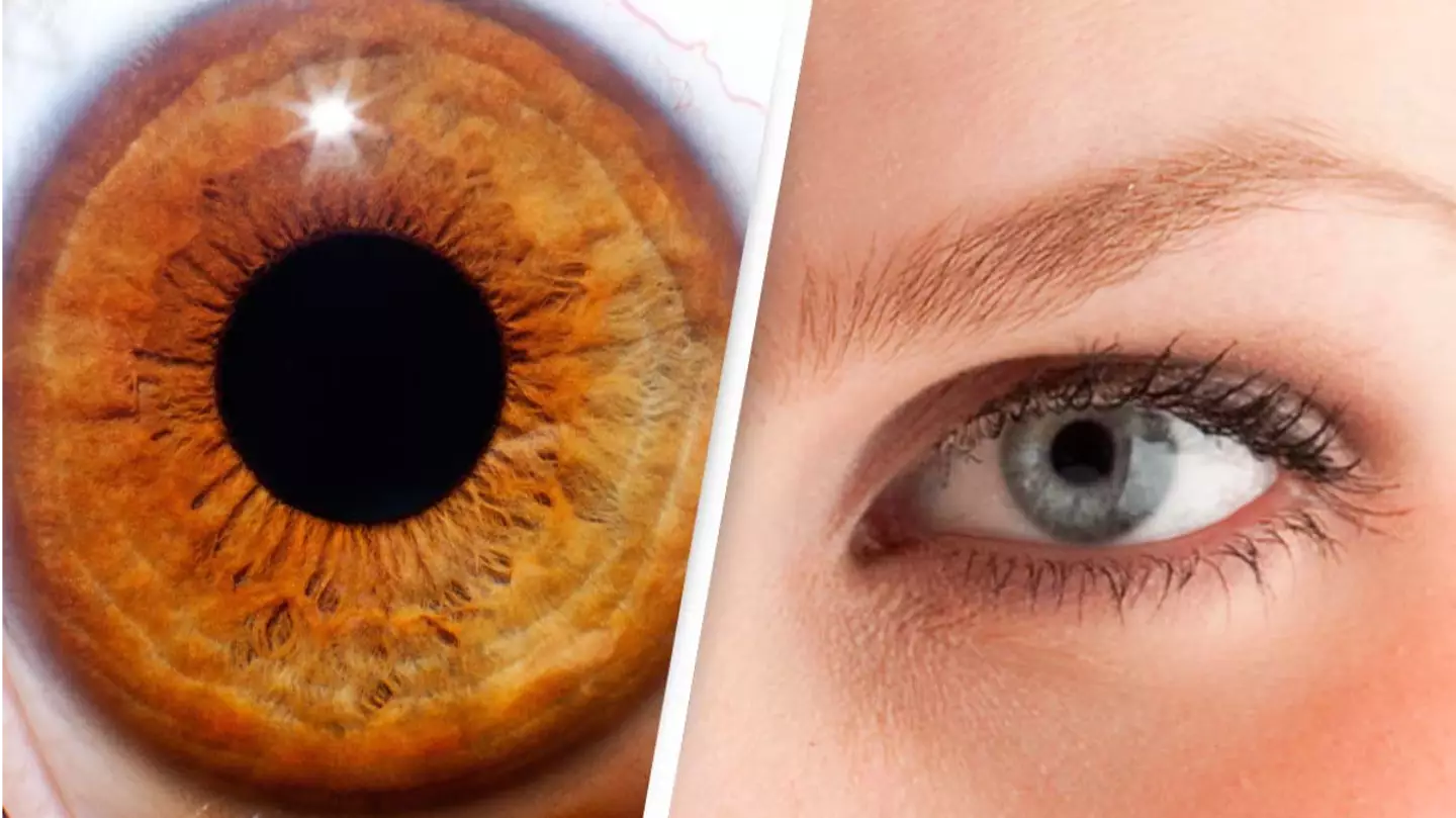 Scientists Explain How Eyes Are 'Immortal' After New Research On Organ Donors