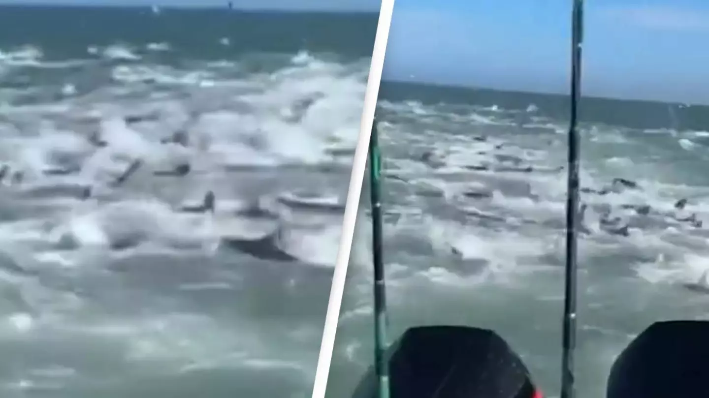 Video of boat caught in the middle of shark feeding frenzy is making people never want to swim again