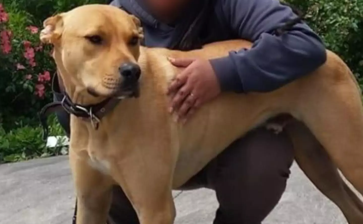 An investigation has since been launched by the council into the 'grievous error'.