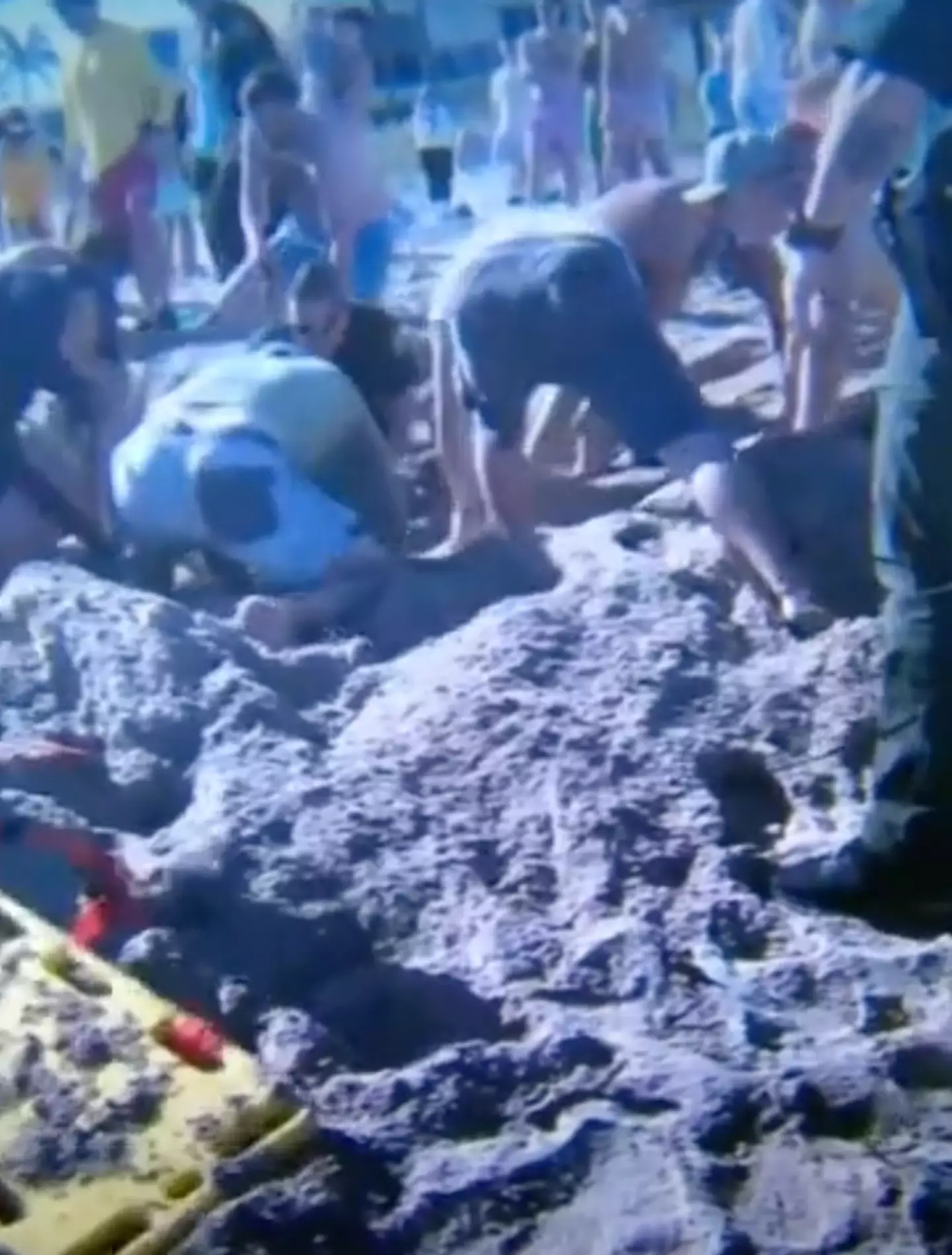 Emergency services and fellow beachgoers worked desperately to get the children out.