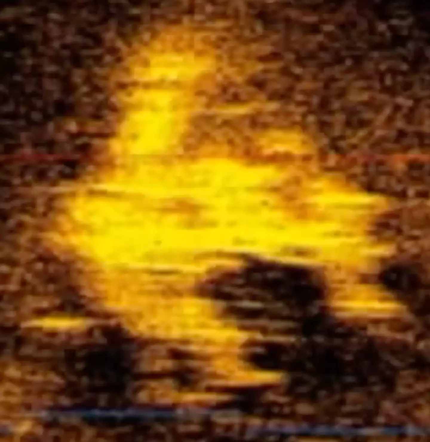The sonar image shows an object shaped like a plane.