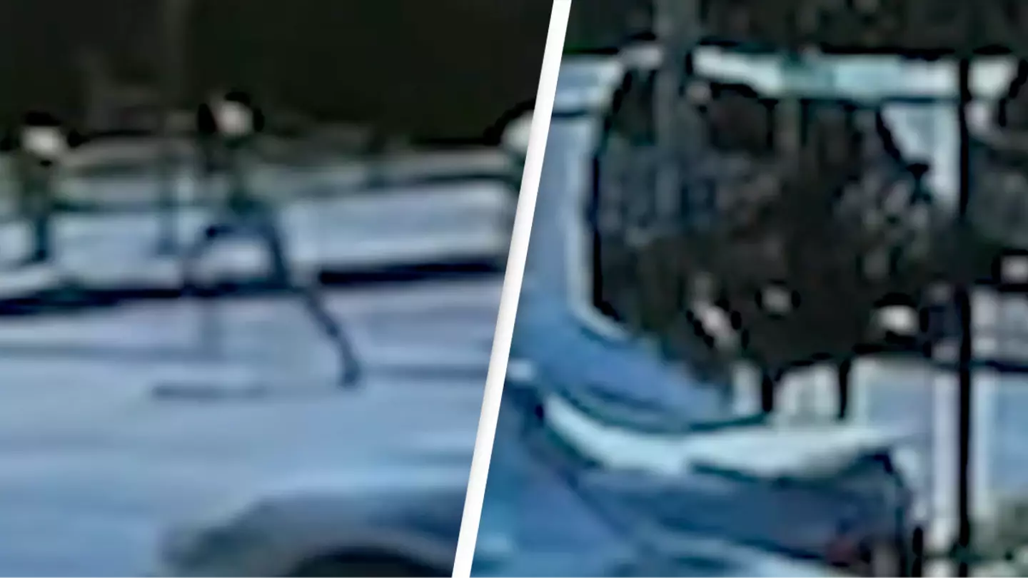 Horrifying footage shows the moment girl, 15, escapes kidnapper using quick-thinking reaction