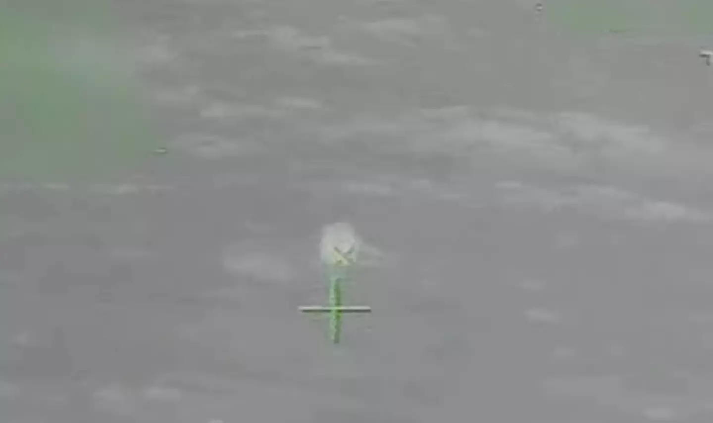 The man was spotted just after 8:00pm on Thanksgiving Day.