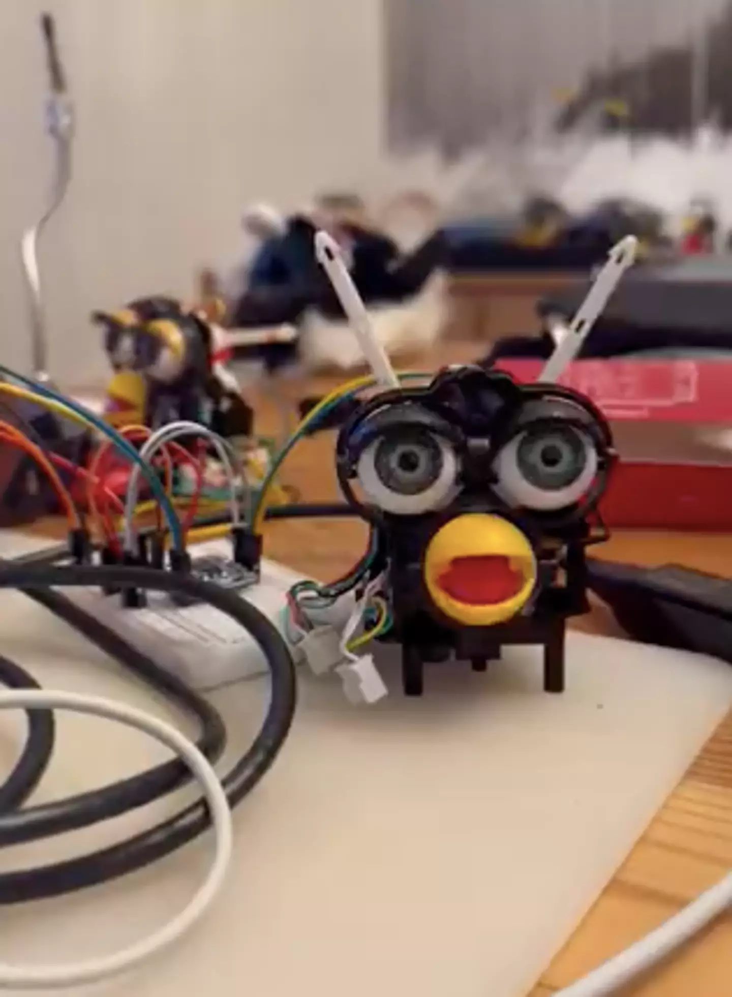 Jessica Card's Furby talks about a secret plot for world domination.