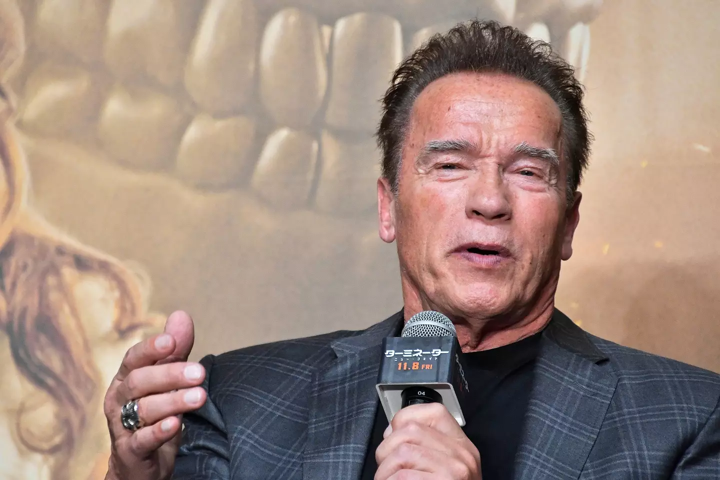 Arnold Schwarzenegger (PA Images)