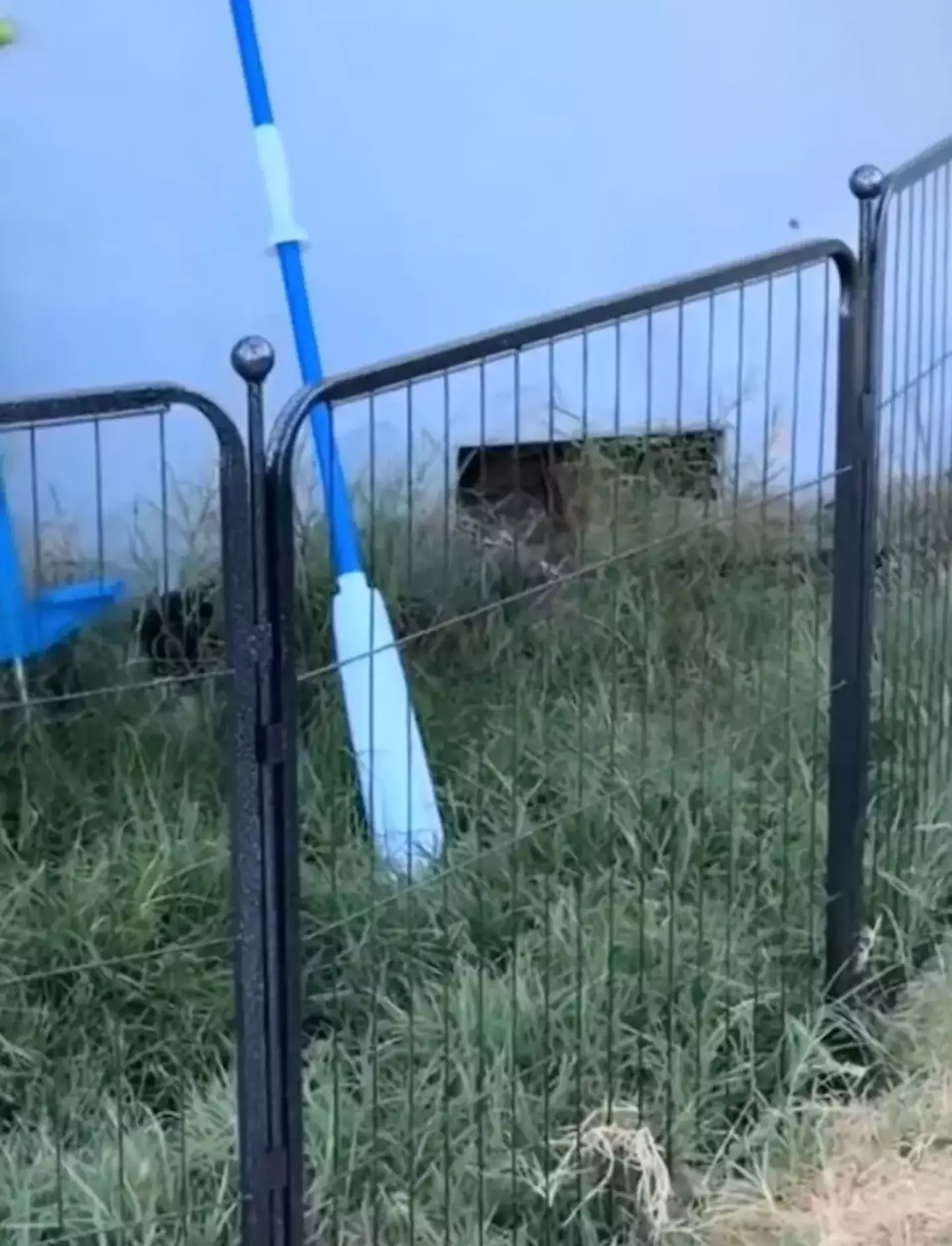 The woman spotted an arm coming out of a hole in her house.