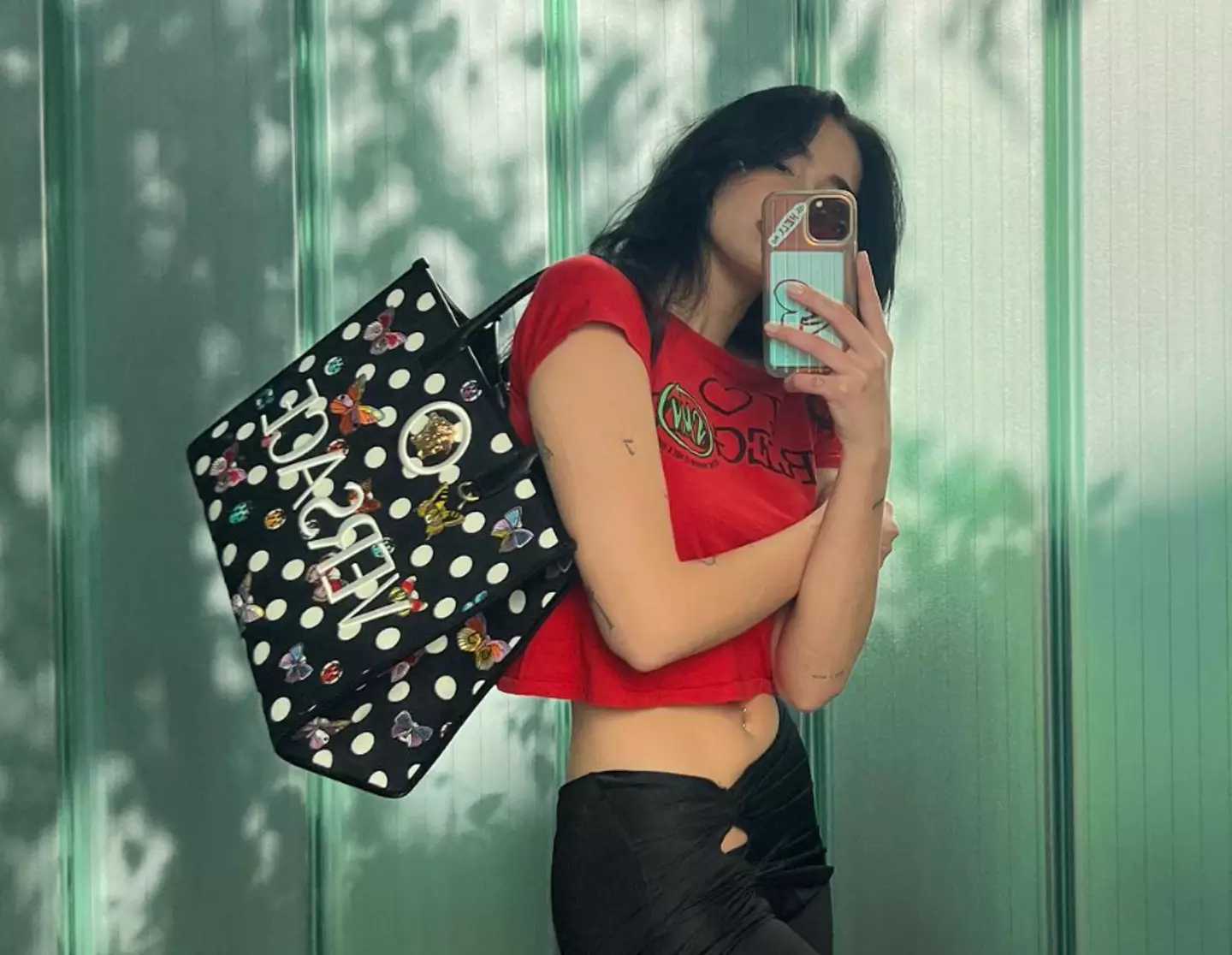 Dua Lipa regularly keeps fans updated online.