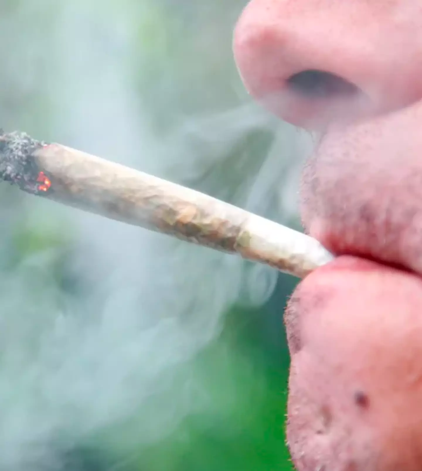 Tyson has previously said he wished he smoked earlier on in his life.