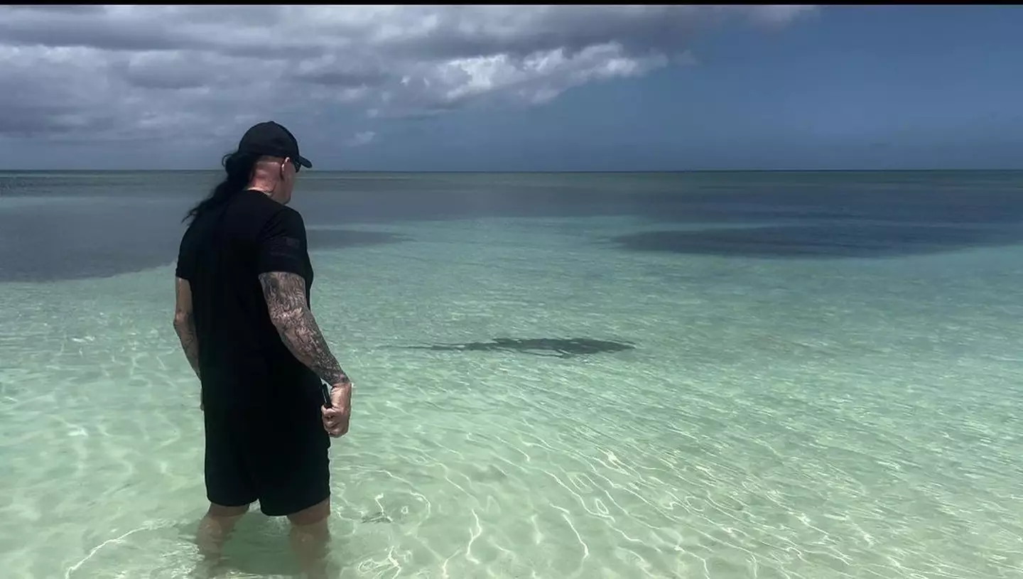 He stood watch until the shark had left the area.