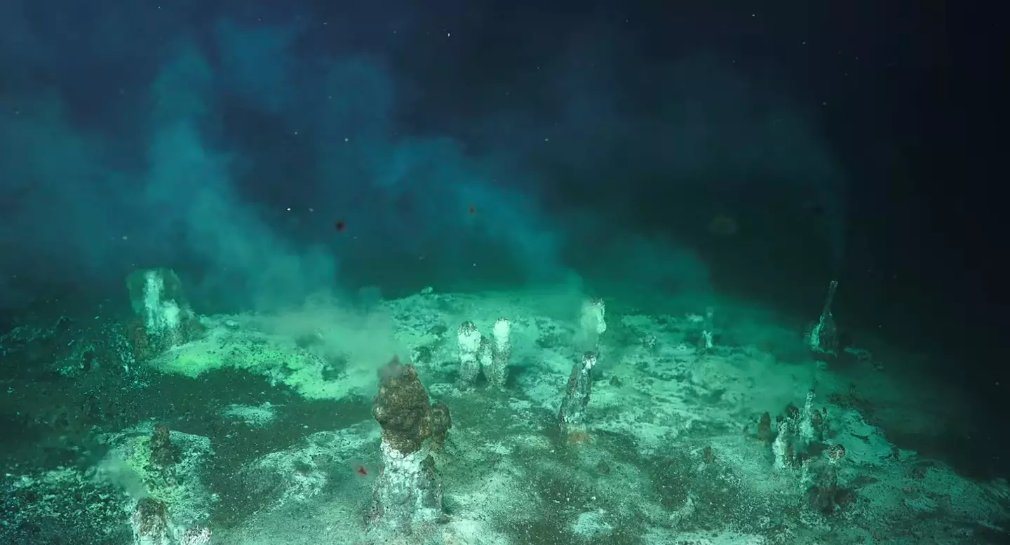 The Atacama Trench goes as far as 8,000 meters deep from the ocean's surface (Schmidt Ocean/YouTube)