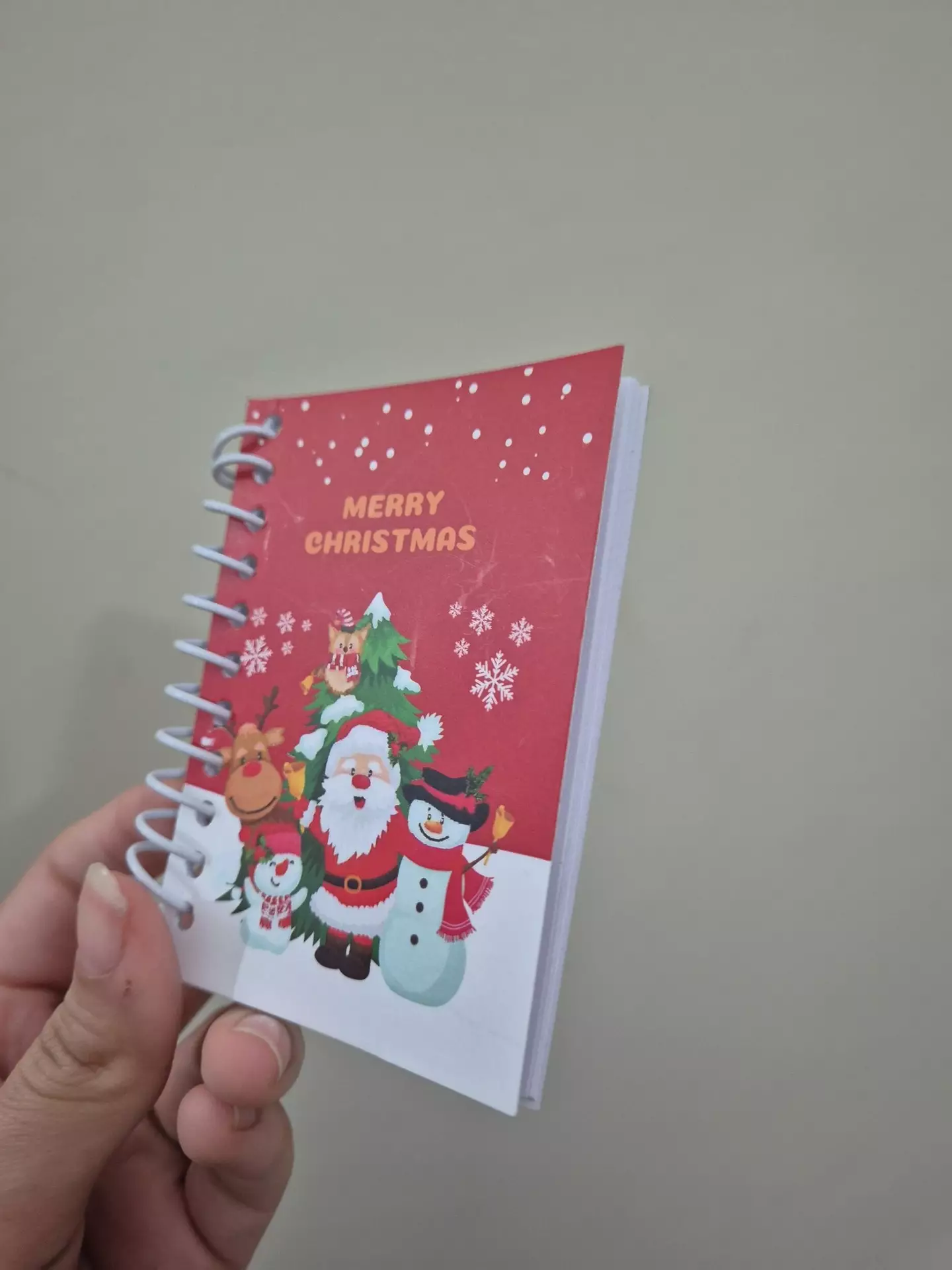 What more could you want for Christmas? (Twitter/ @chonkychihuahua)