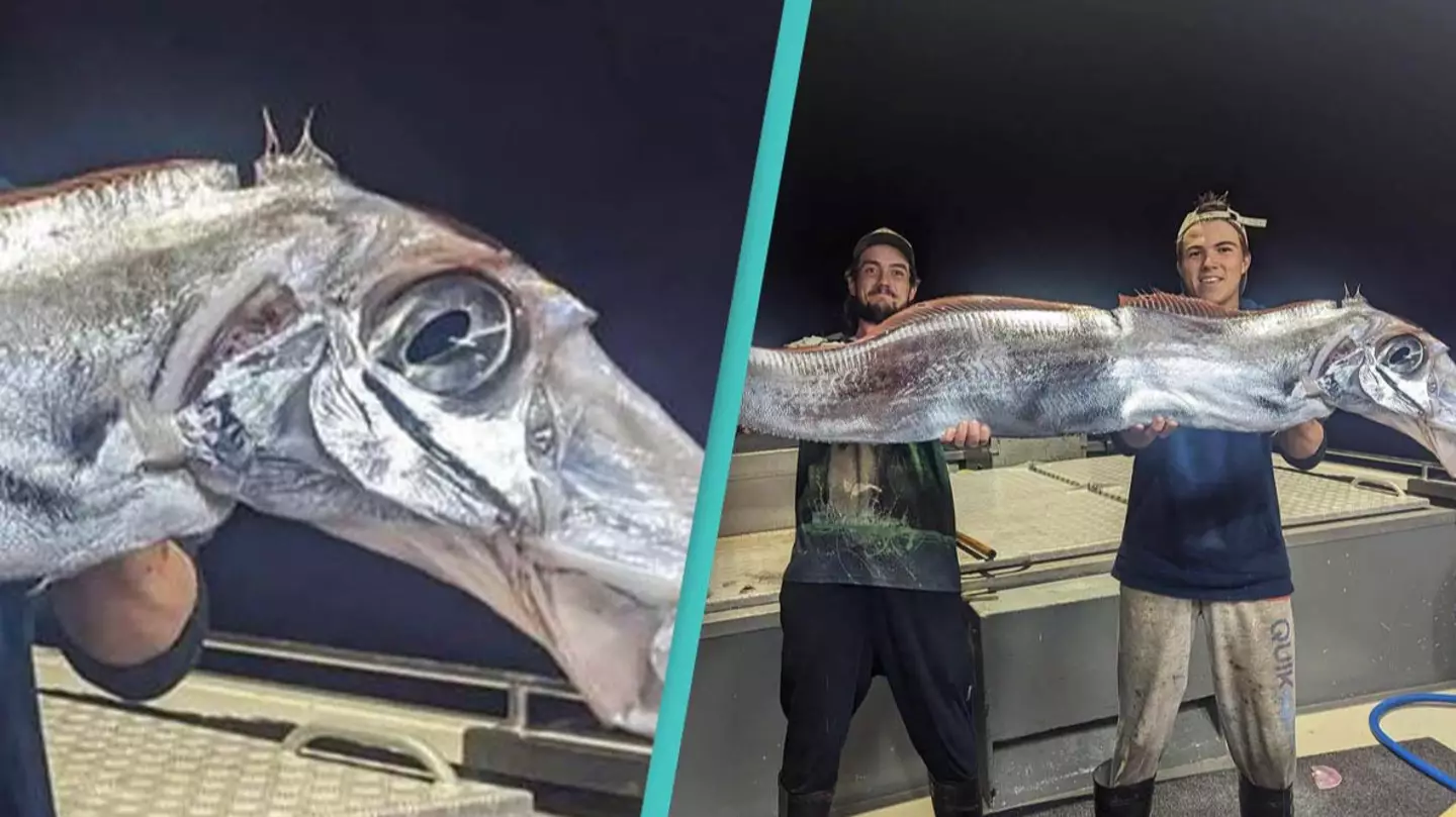 Fishermen catch terrifying 'doomsday fish' in rare sighting of deep-sea creature with bizarre head shape