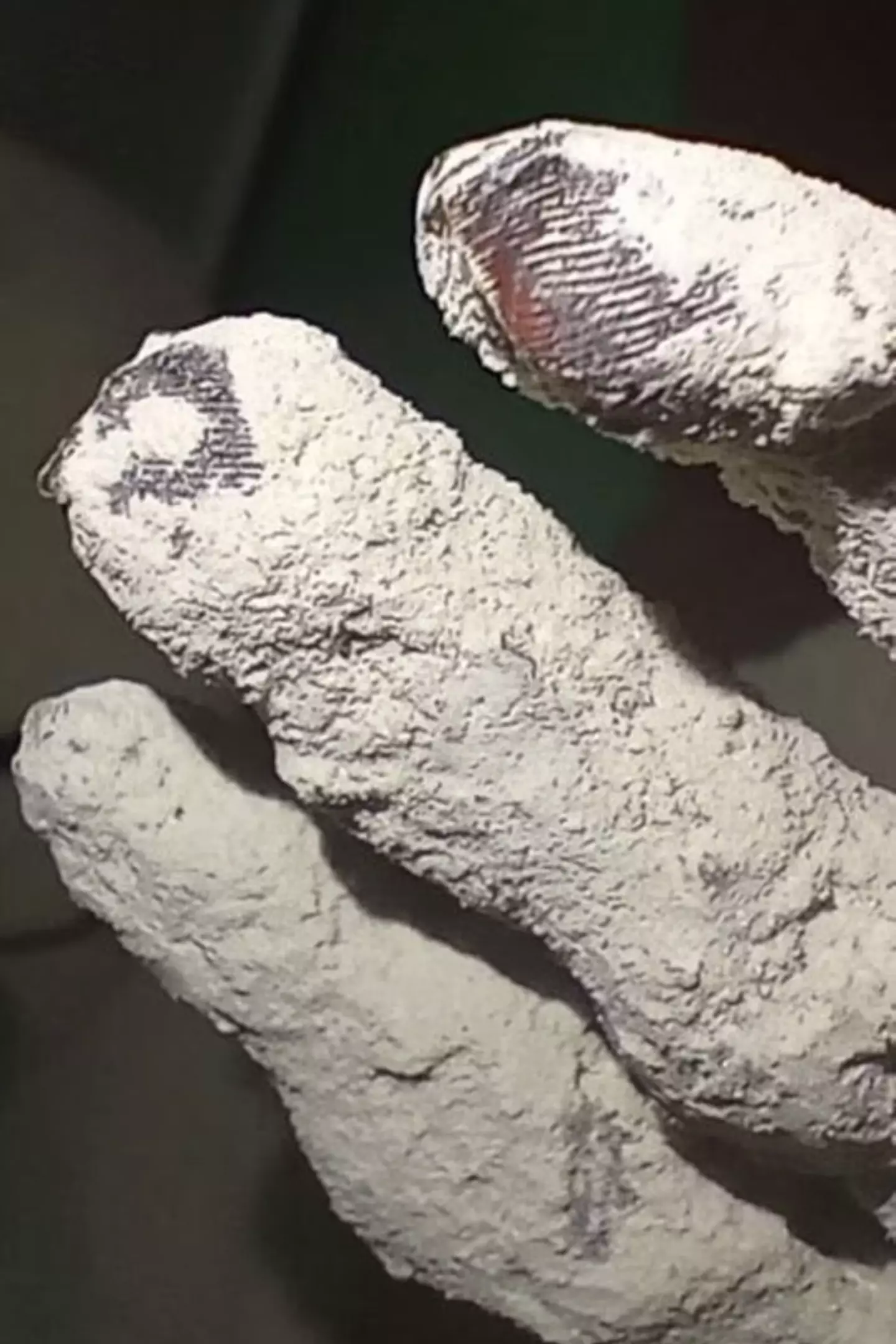 Experts claimed the fingerprints weren't 'traditional' to humans. (Jose Baizan/X)