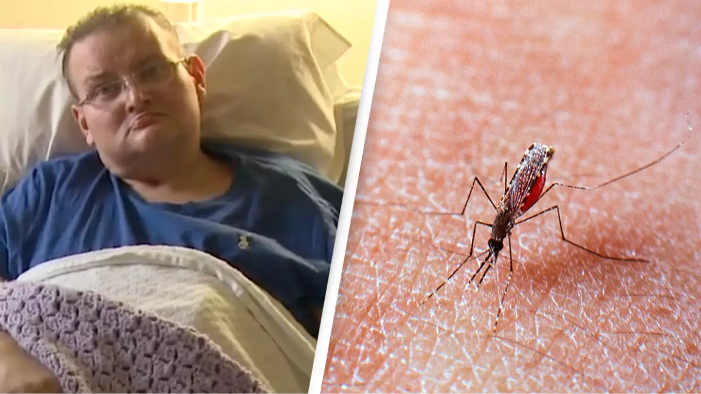 The Day/YouTube/Peter Charlesworth/LightRocket via Getty Images