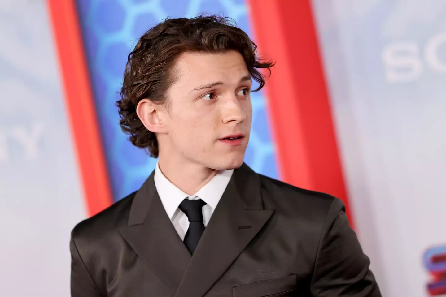 Tom Holland's Spider-Man films might have grossed billions, but Gwyneth Paltrow doesn't even know who he is (Photo by Emma McIntyre/Getty Images)