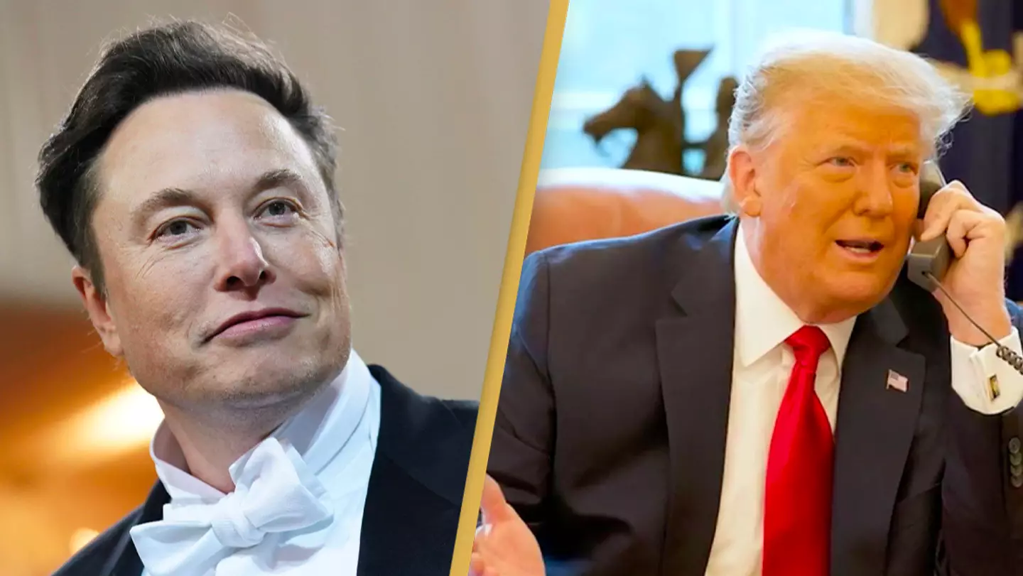 Elon Musk asks Twitter to vote on whether he should reinstate Donald Trump