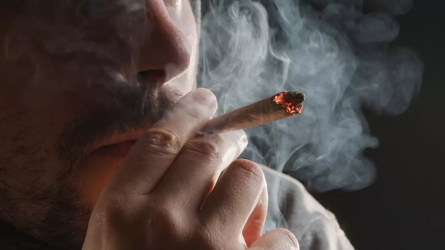 Largest ever study on cannabis reveals 'significant impact' it has on brain function