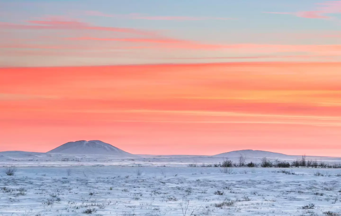 As the world warms and the permafrost melts, we'll start discovering more - that might not be an entirely good thing.
