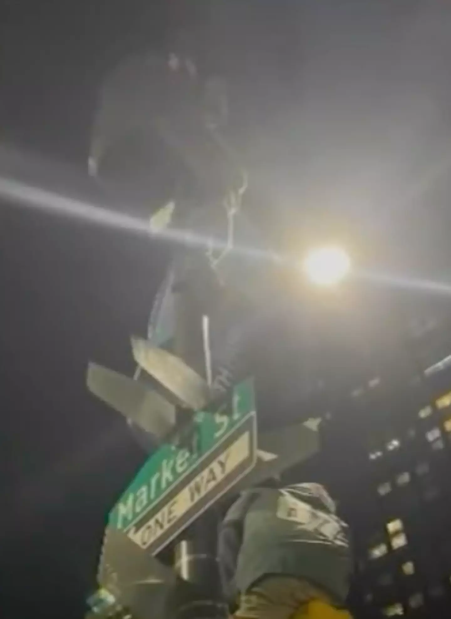 Footage showed Tyler climbing a light pole (ABC 6)