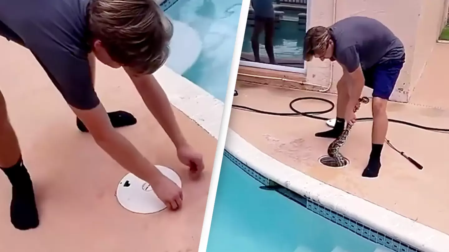 Residents make terrifying discovery inside pool filter and take drastic measures