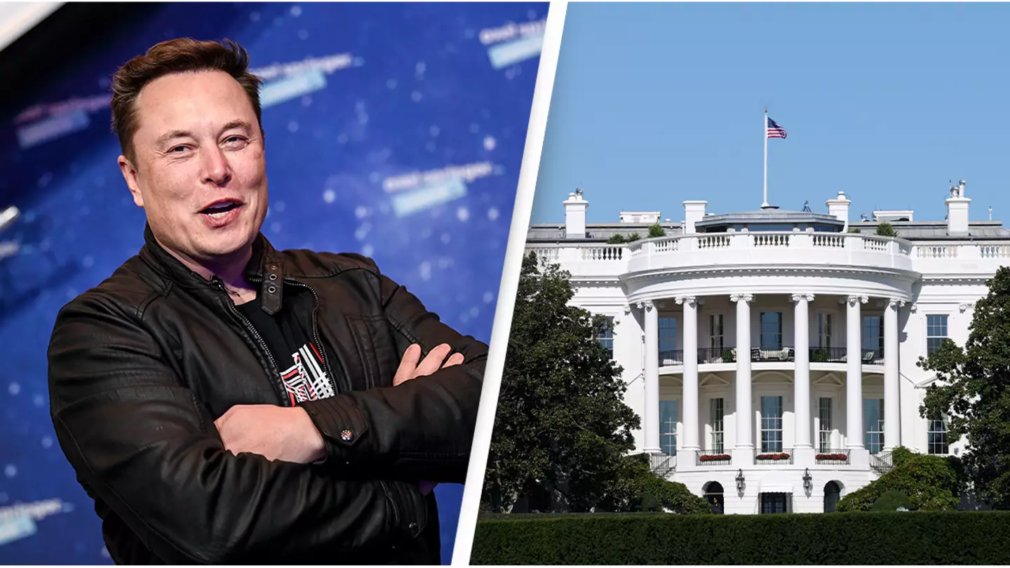 People are now calling for Elon Musk to run for US President after taking over Twitter