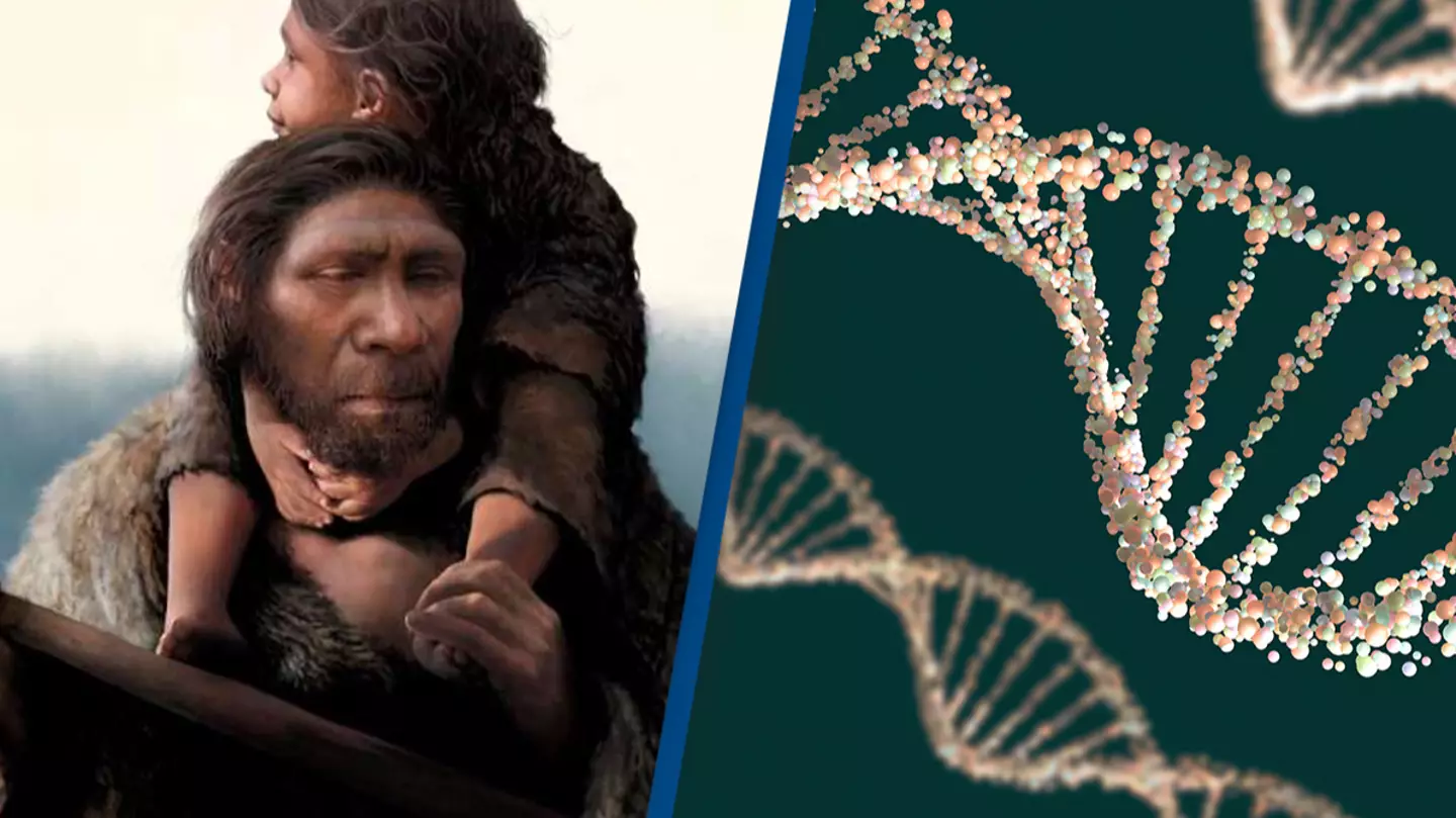 First Neanderthal family portrait revealed by DNA discovery