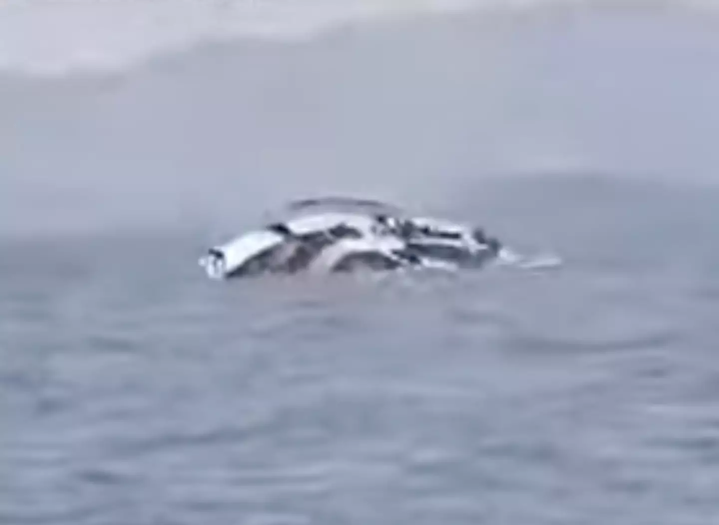 MV Merdy, the vessel taking passengers from Minova to Goma, sunk with 278 people onboard - according to officials (Madame Rayane Omari Ramlathy)