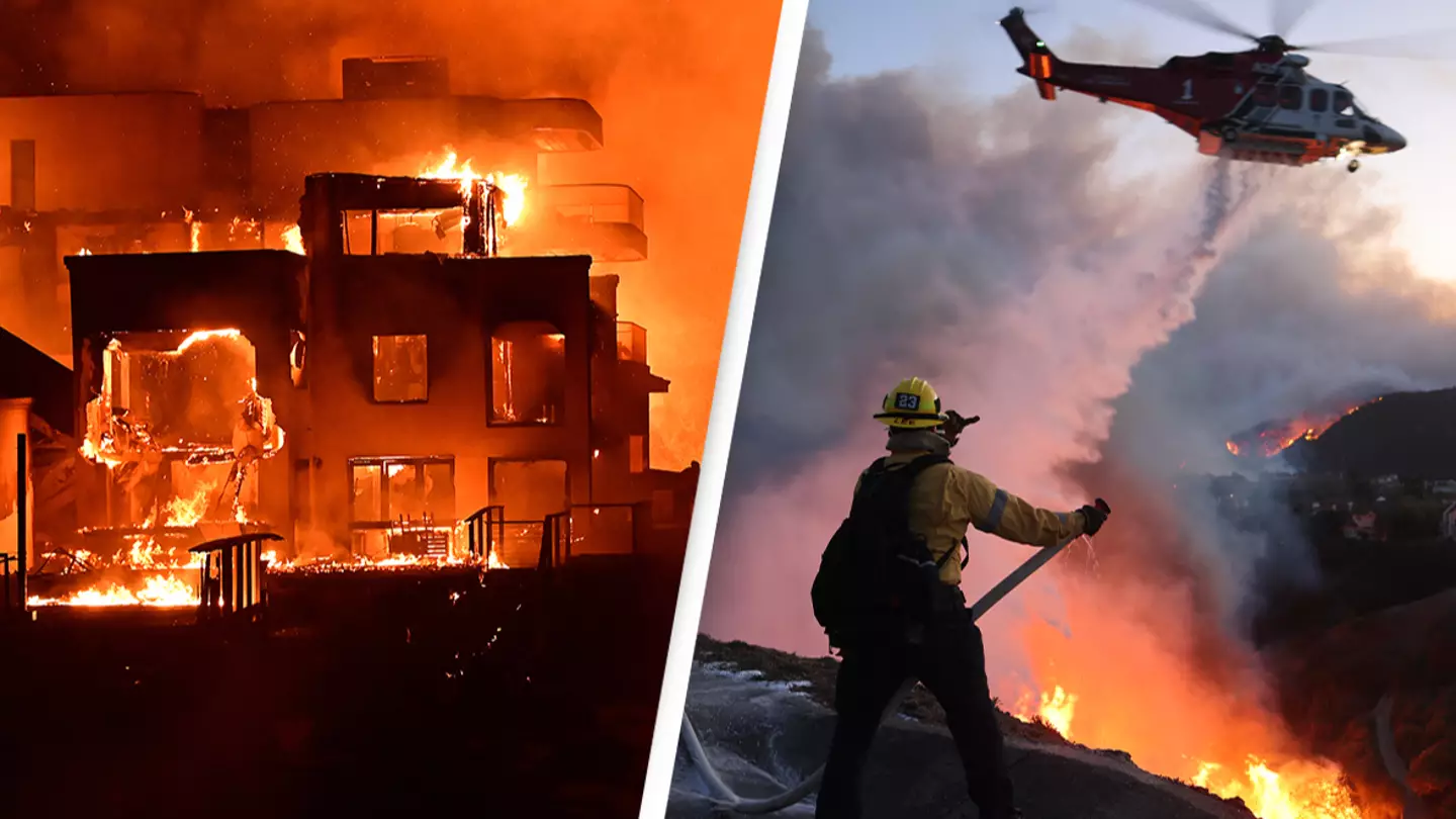 AGUSTIN PAULLIER/Getty/DAVID SWANSON/Getty