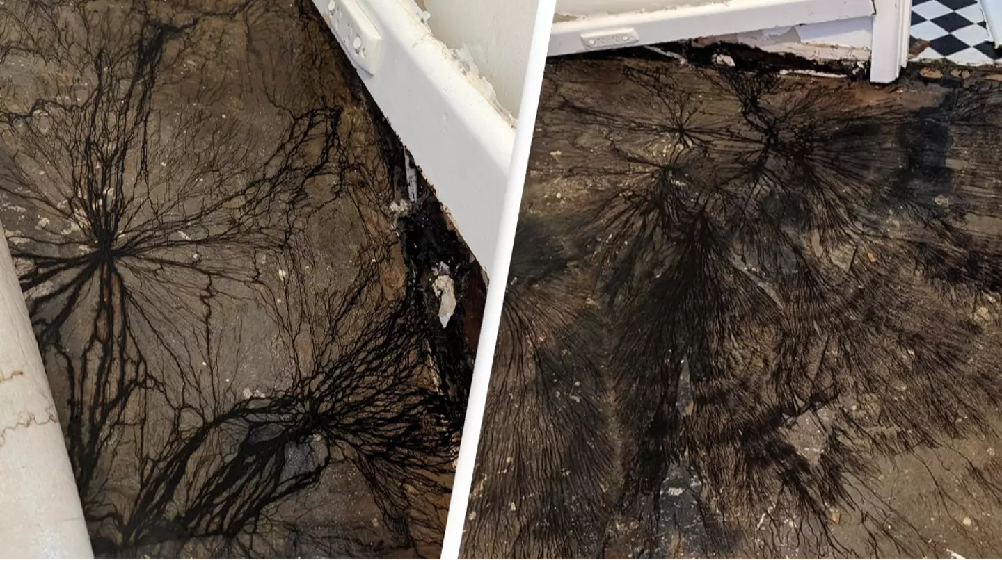 Homeowner's terrifying discovery under floorboards is being compared to something from Stranger Things