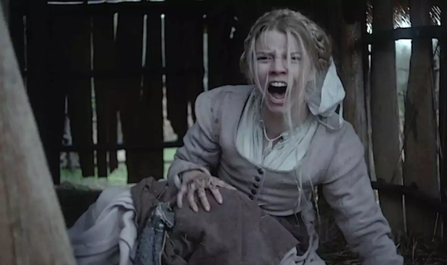 Anya Taylor-Joy portrayed Thomasin in The Witch. (A24)