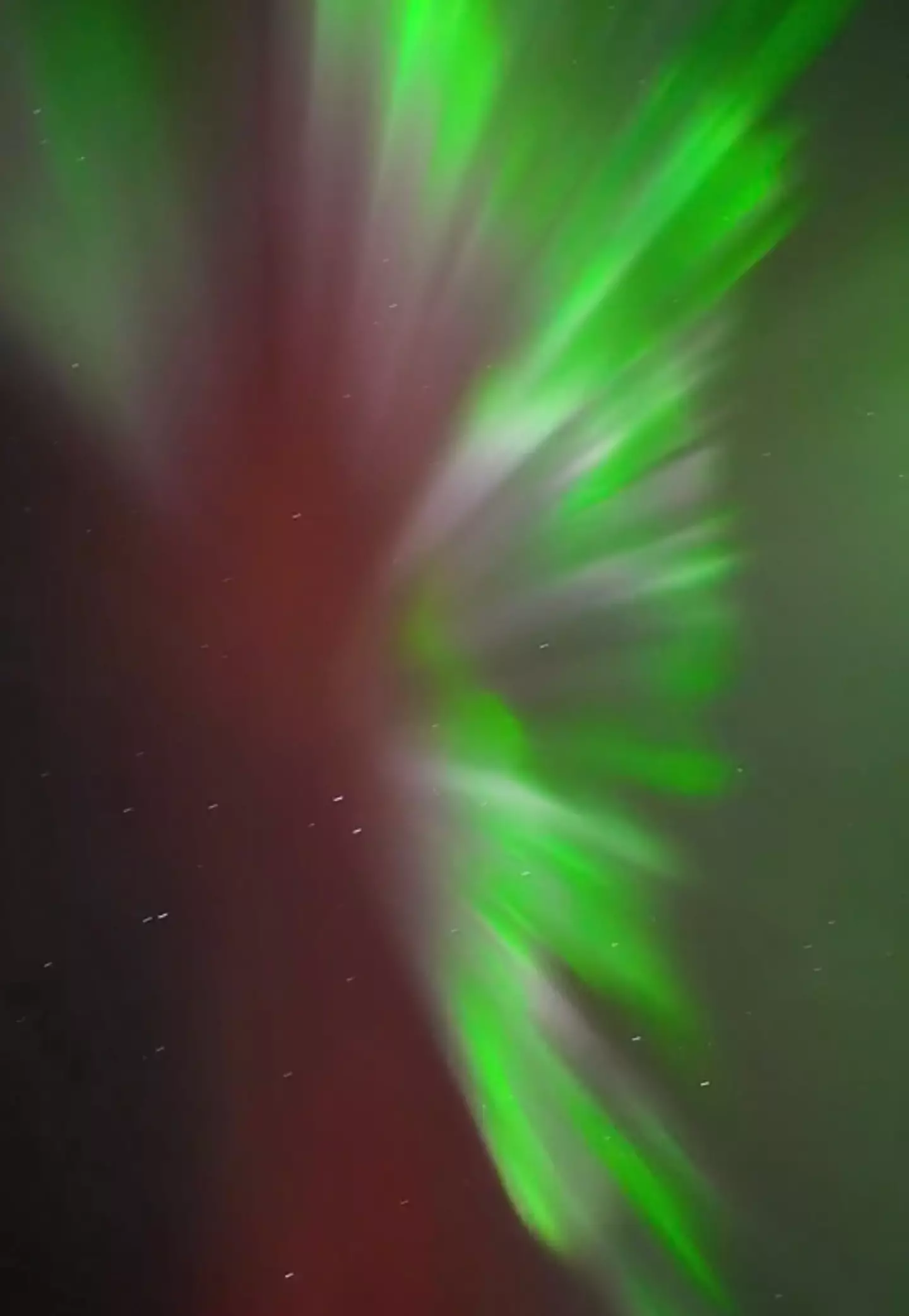 Hat's off to Vincent Ledvina for capturing this incredible footage.