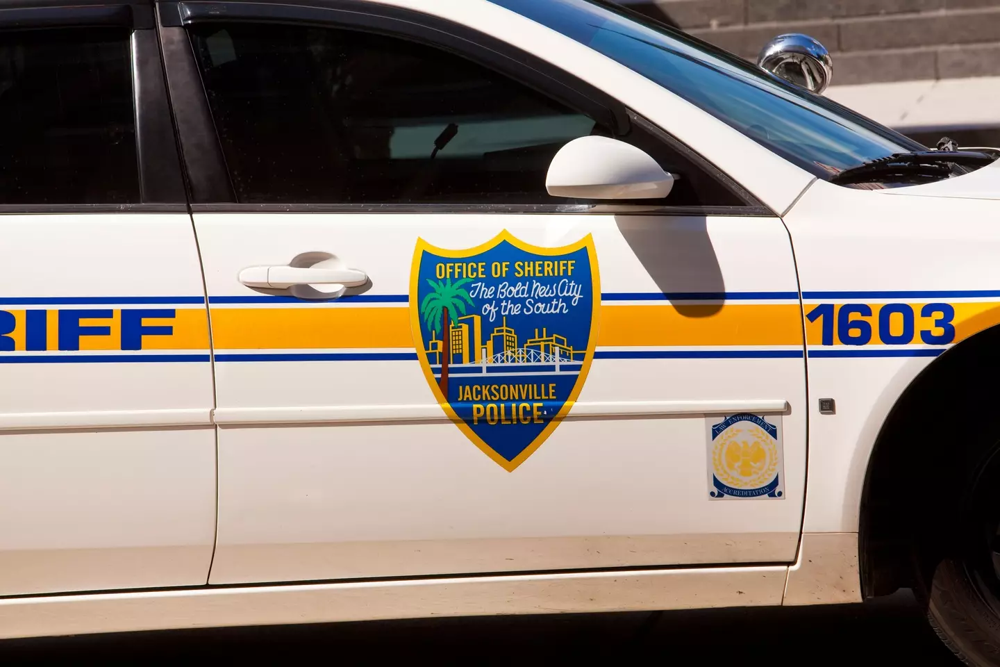 The man is facing numerous felony charges.