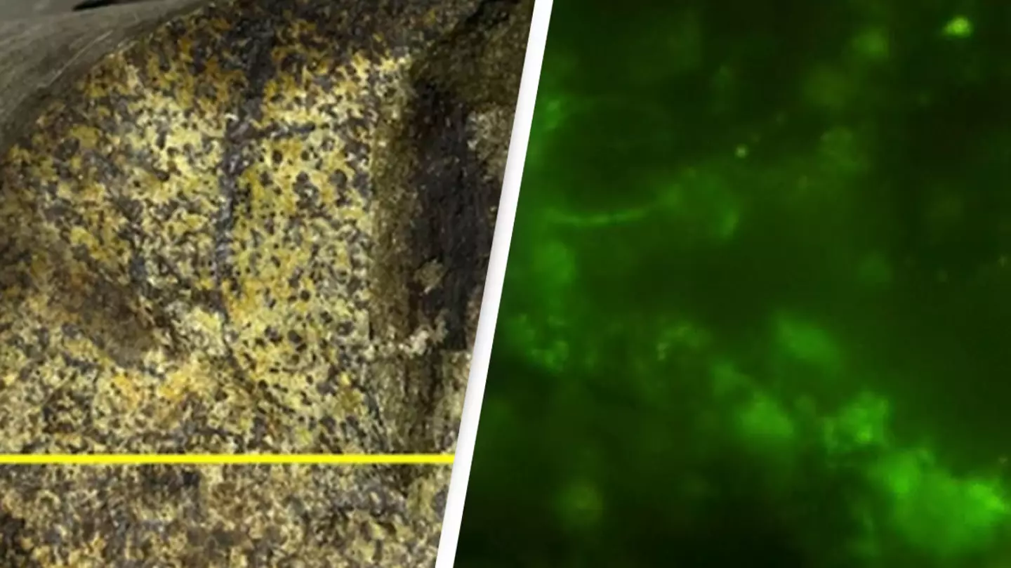Scientists drill into two-billion-year-old rock and find something living inside it