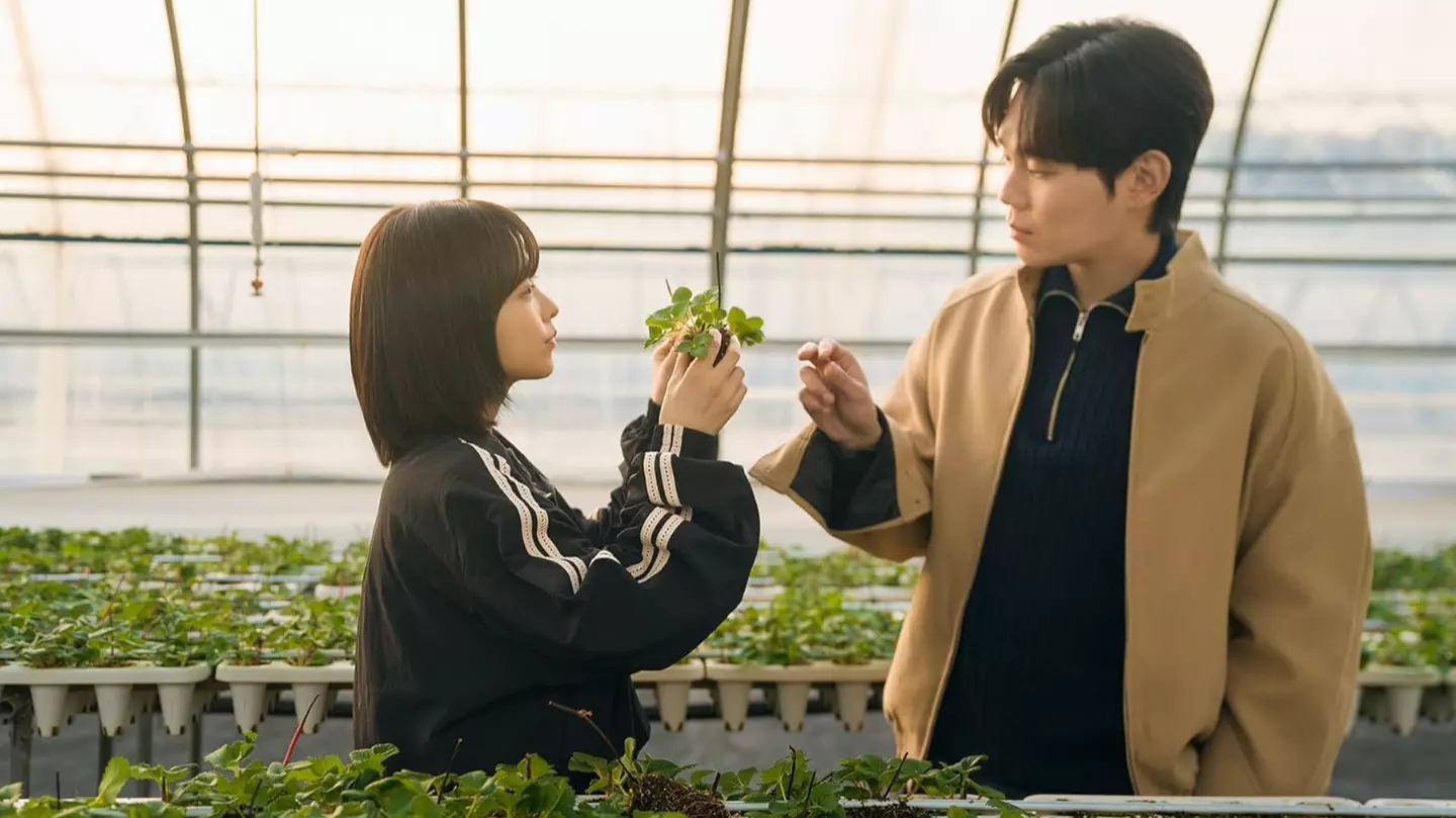 Netflix fans hooked on ’10/10’ mini-series labeled ‘perfect slice of life drama’