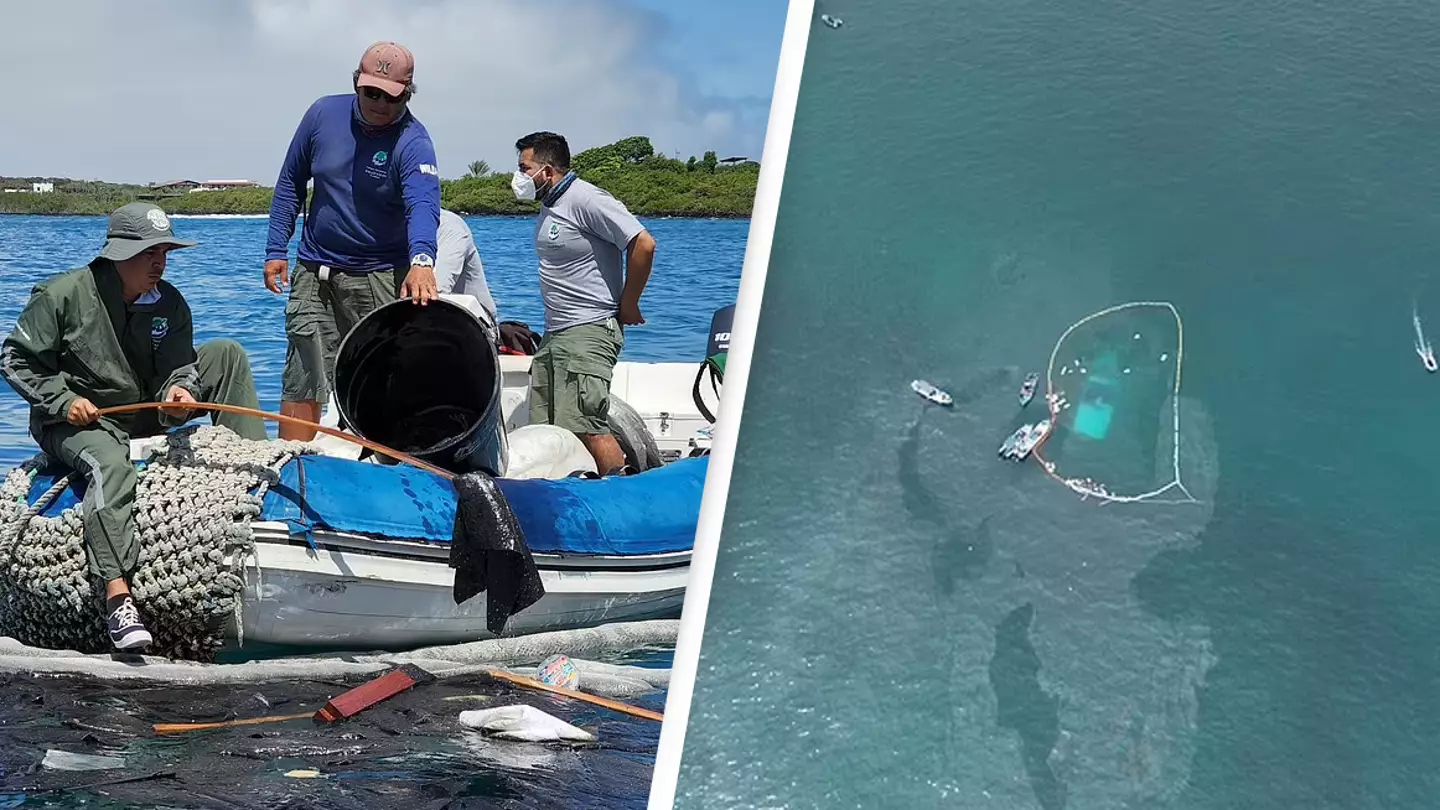 Ship Carrying Diesel Sinks Near Ecologically Sensitive Galapagos