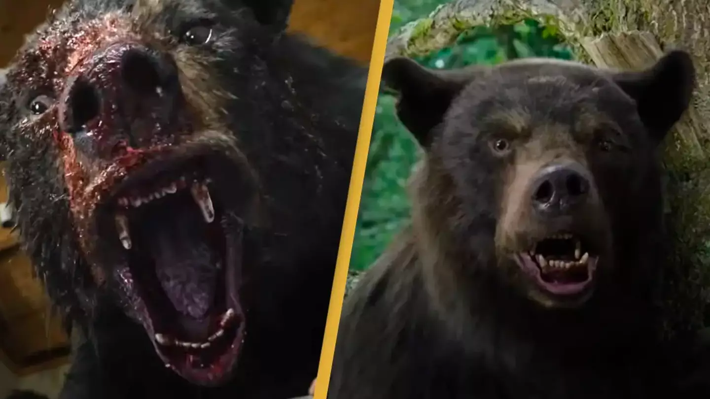 The unbelievable true story behind film about a bear who ate 70lbs of cocaine