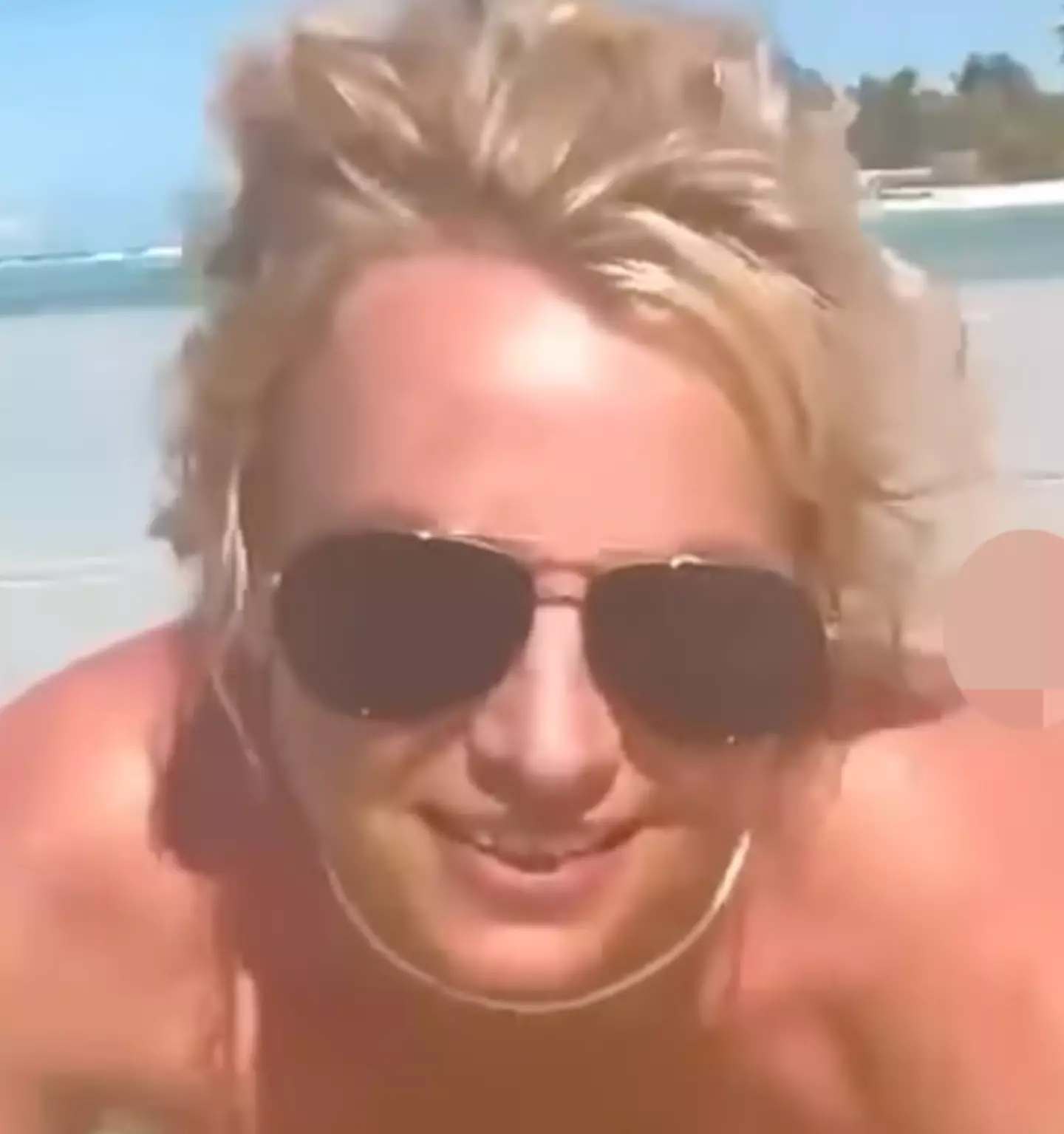 Spears uploaded a video with her naked bottom in (Instagram/ @britneyspears)
