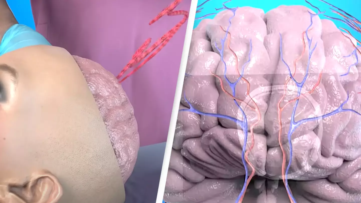 'Worst nightmare' simulation shows how woman got a 3-inch worm in her brain after eating vegetables