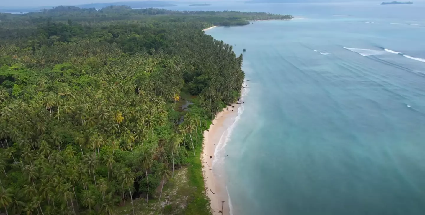 The couple are living what many would describe as their dream life (Exploring Alternatives Youtube)