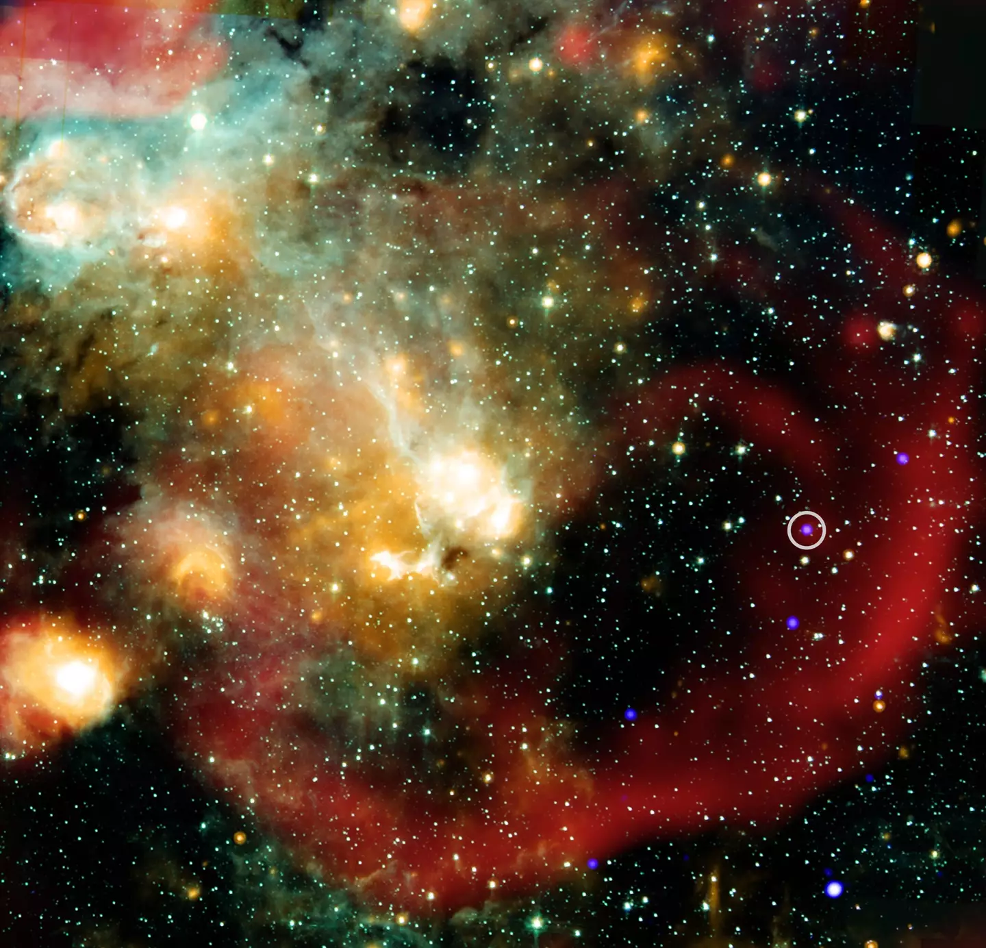 Circled is the mysterious Askap (NASA/CXC/ICRAR, Curtin Univ./Z. Wang et al)