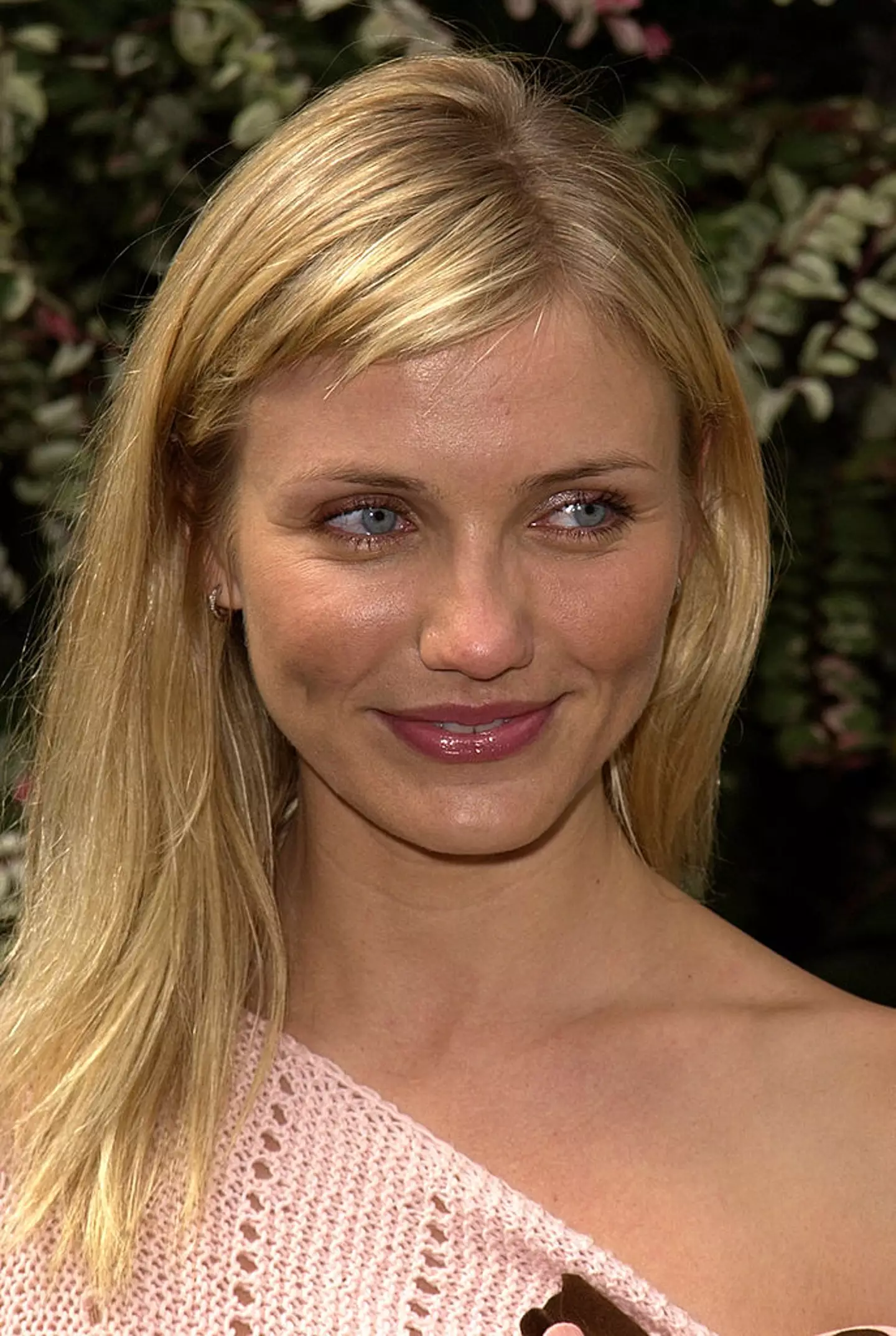 The Cameron Diaz theory has already been debunked (SGranitz/WireImage)