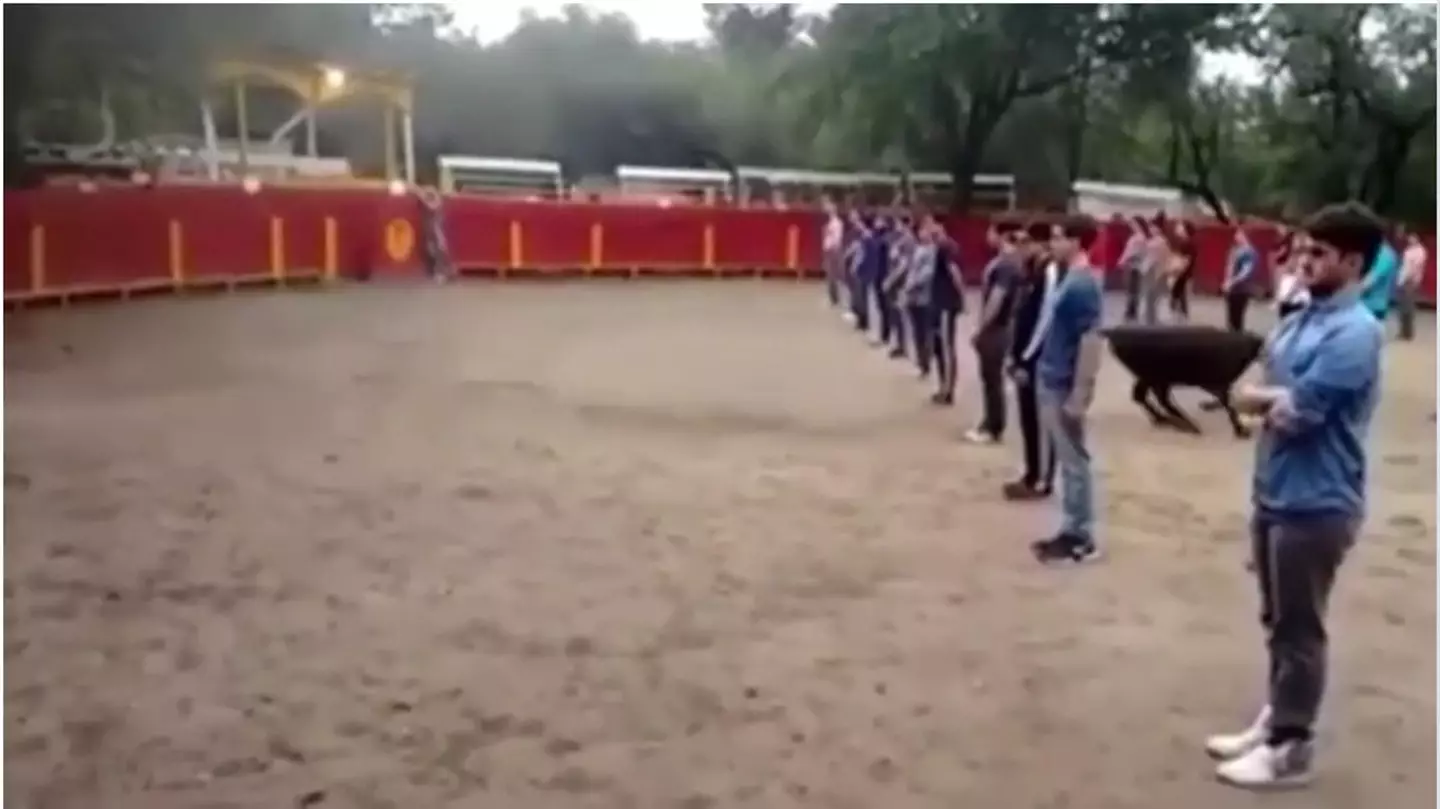 In the video rows of people stood still while in with the bull.