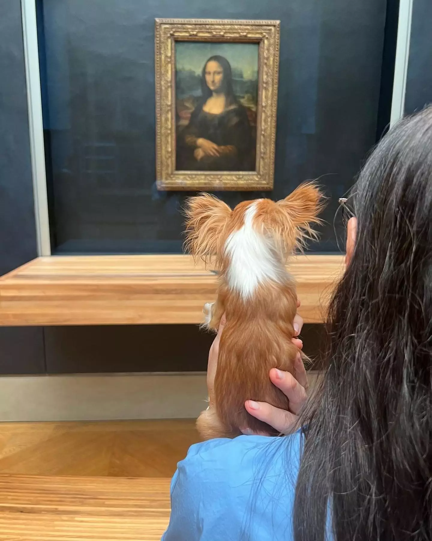 Demi Moore's dog taking in some masterpieces.