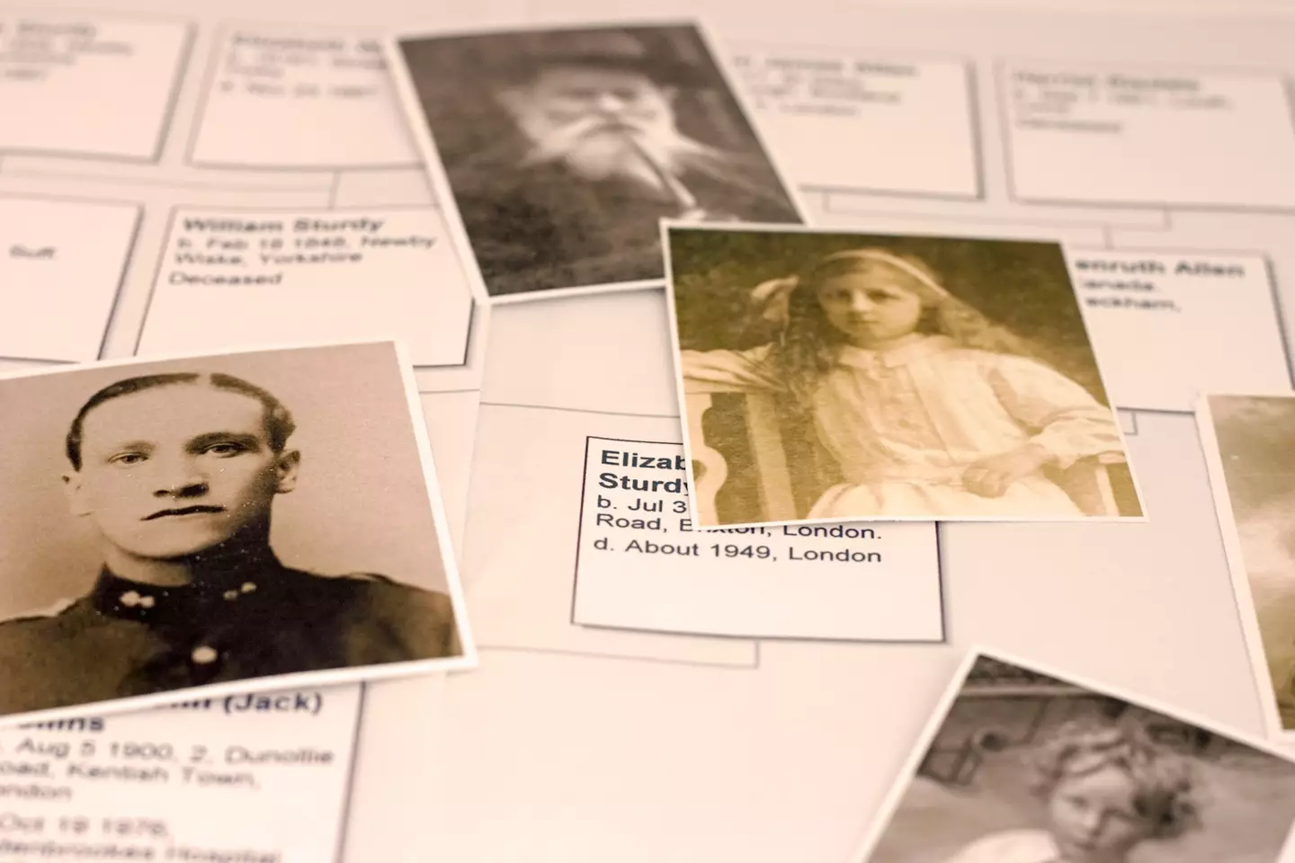 The world's largest family tree was created for the study.